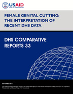 Cover of Female Genital Cutting: The Interpretation of Recent DHS Data (English)