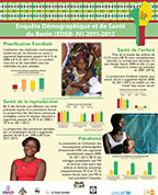 Cover of Benin 2011-12 - Wall Chart (French)