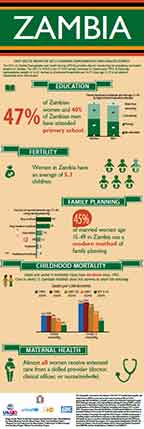 Cover of Zambia DHS 2013-14 - Infographic (English)