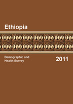 Cover of Ethiopia DHS, 2011 - Final Report (English)