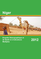 Cover of Niger DHS, 2012 - Final Report (French)