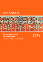 IDHS 2012 Adolescent Reproductive Health Final Report