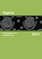 2013 Nigeria DHS