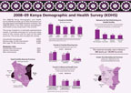 Cover of Kenya DHS 2008-09 - Fact Sheet (English)