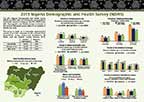 Cover of Nigeria DHS 2013 Fact Sheet (English)