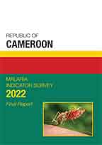 Cover of Cameroon MIS, 2022 - MIS Final Report (English)