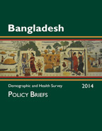 Cover of Bangladesh DHS 2014 - Policy Briefs (English)
