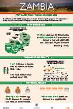 Cover of Zambia 2018 DHS - Infographic (English)