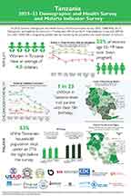 Cover of Tanzania DHS 2022 - Infographic (English)