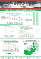 Cover of Zambia DHS 2024 - Wall Chart (English)