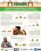 Cover of Niger DHS 2012 Wall Chart (French)