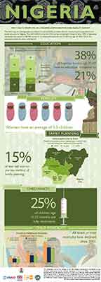 Cover of Nigeria DHS 2013 - 2 Infographics (English)