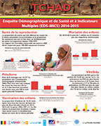 Cover of Chad 2014-2015 DHS - Wall Chart (French)