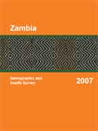 Cover of Zambia DHS, 2007 - Final Report (English)