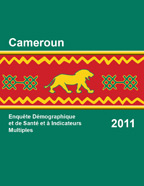Cover of Cameroon DHS, 2011 - Final Report (French)