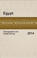 Cover of Egypt DHS, 2014 - Final Report (English)