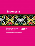 Cover of Indonesia Special, 2017 - Adolescent Reproductive Health Final Report (English)