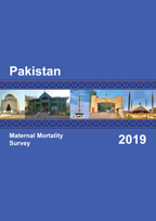 Cover of Pakistan Special, 2019 - Final Report (English)