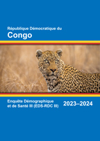 Final Report (French) - FR393