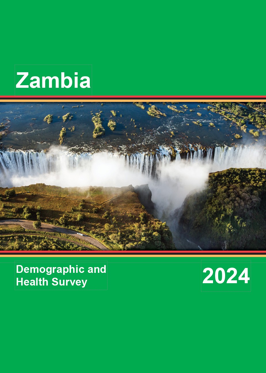 Final Report (English) - FR397