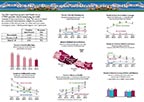 Cover of Nepal DHS 2016 Fact Sheet (English)
