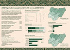 Cover of Nigeria 2003 DHS Fact Sheet (English)