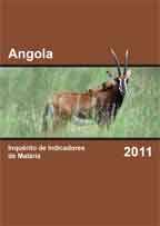Cover of Angola MIS, 2011 - MIS Final Report (Portuguese)