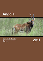 Cover of Angola MIS, 2011 - MIS Final Report (English)