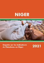 Cover of Niger MIS, 2021 - MIS Final Report (French)