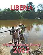 Cover of Liberia MIS, 2022 - MIS Final Report (English)