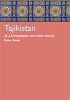 Cover of Tajikistan Briefing Kit 2012 (English)