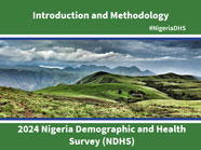 Cover of Nigeria DHS 2024 - National Survey Presentations (English)