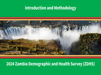 Cover of Zambia DHS 2024 - National Survey Presentations (English)