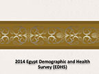 Cover of Egypt: DHS, 2014 - Survey Presentations (English)