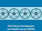 Cover of Kenya: DHS, 2014 - Survey Presentations (English)