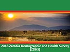Cover of Zambia DHS, 2018 - Survey Presentations (English)
