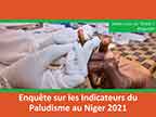 Cover of Niger MIS 2021 - Survey Presentation (French)