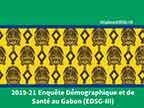Cover of Gabon DHS 2019-2021 - Survey Presentations (French)