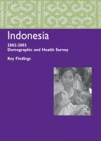 Cover of Indonesia DHS, 2002-03 - Key Findings (English)