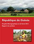 Cover of Guinea DHS, 2018 - Summary Report (French)