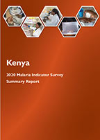 Cover of Kenya MIS, 2020 - Summary Report (English)