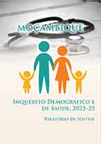 Cover of Mozambique DHS, 2022-23 - Summary Report (Portuguese)